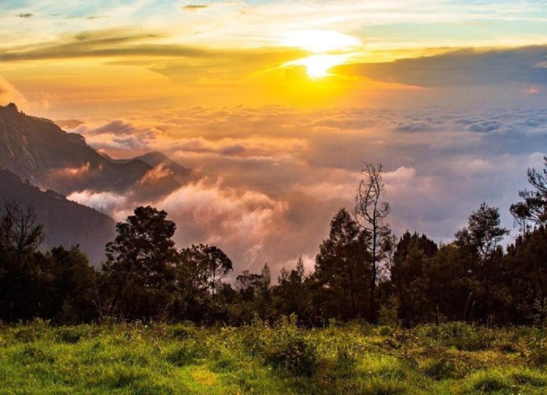 Cloud Walk Bed & Breakfast Kodaikanal Exterior photo