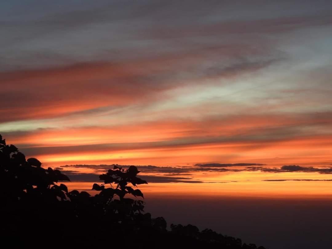 Cloud Walk Bed & Breakfast Kodaikanal Exterior photo