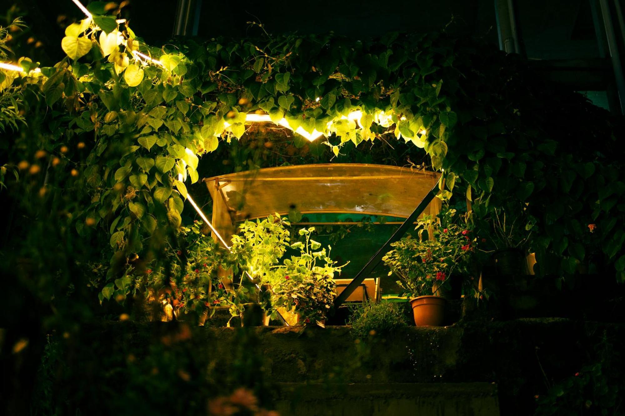 Cloud Walk Bed & Breakfast Kodaikanal Exterior photo